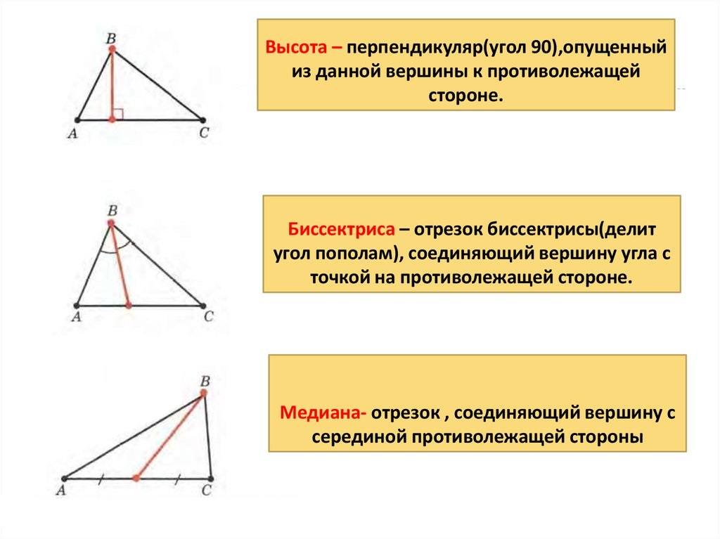 Медиана треугольника рисунок 7 класс